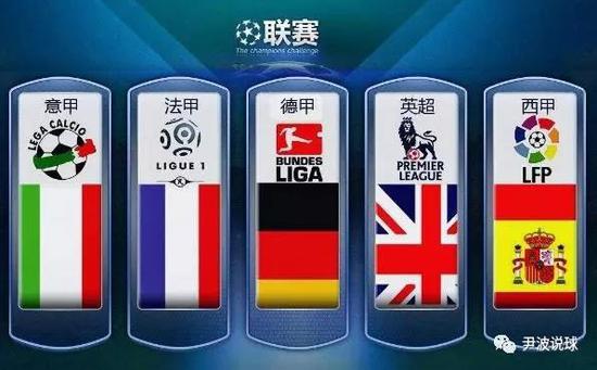 网窝