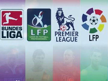 野生动物 野生动物